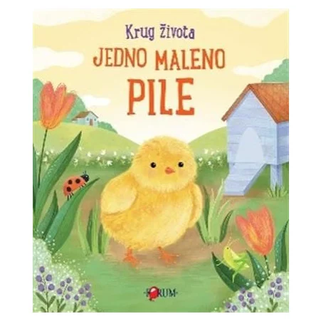 Knjiga Forum Jedno Maleno Pile 114154