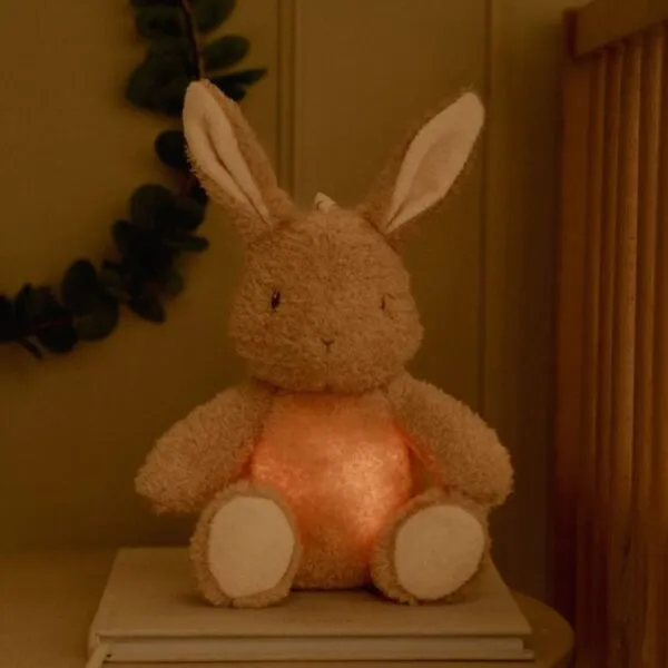 Noćno svjetlo Little Dutch Baby Bunny