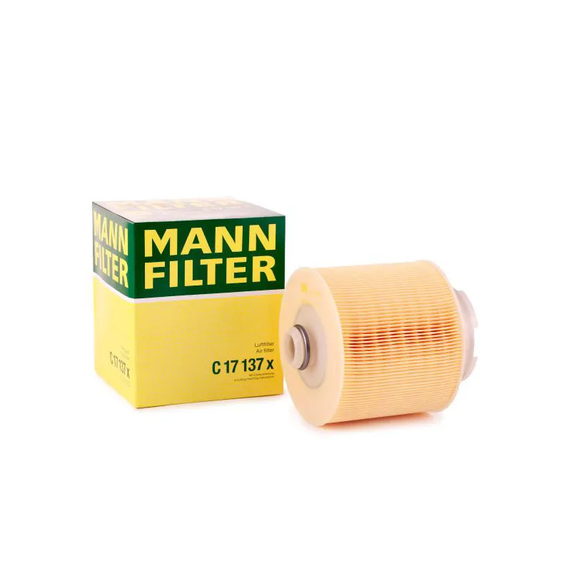 C 17 137 X – Filter zraka