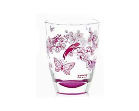 Cerve Set casa 3_1 Petronilla