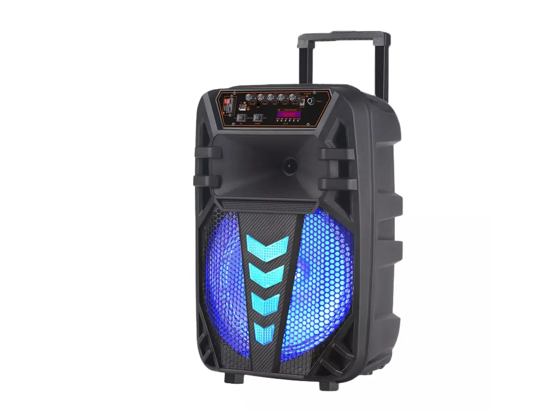 NDR ZVUCNIK KARAOKE NDR-W1012 12"