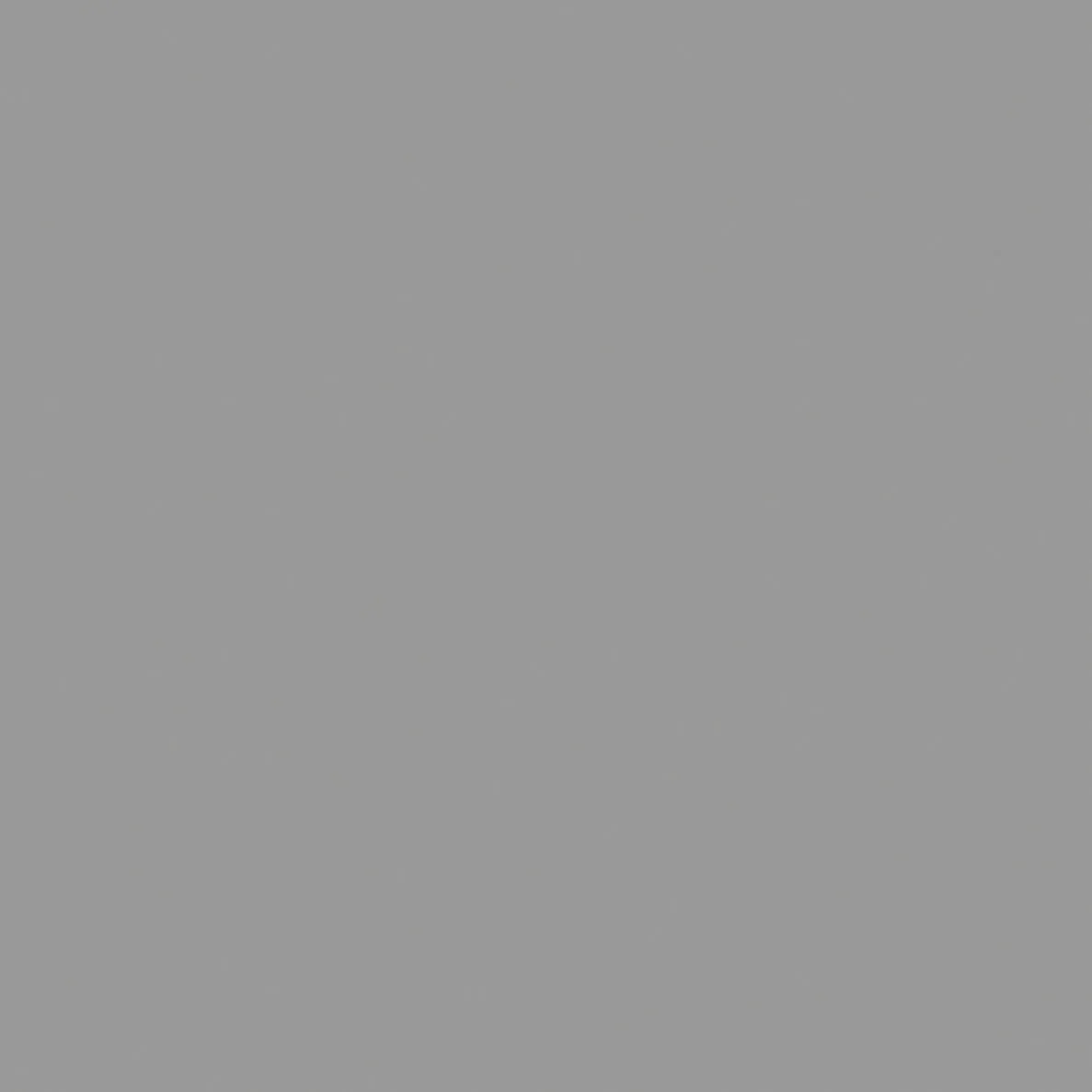 Signal Grey Pfleiderer U12248 SD