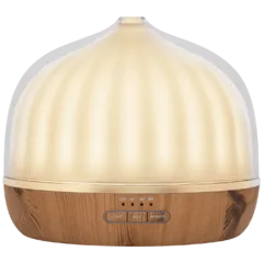 home AD 500