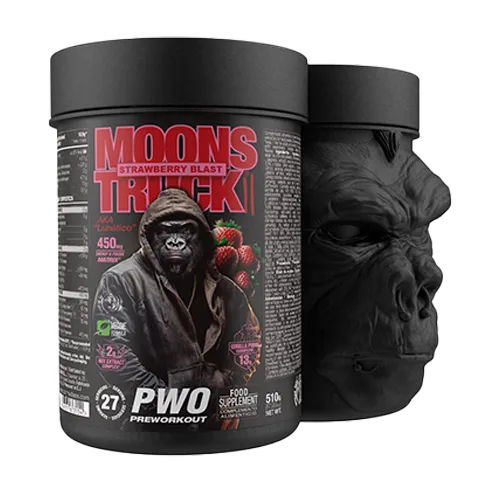MOONS TRUCK II 510g