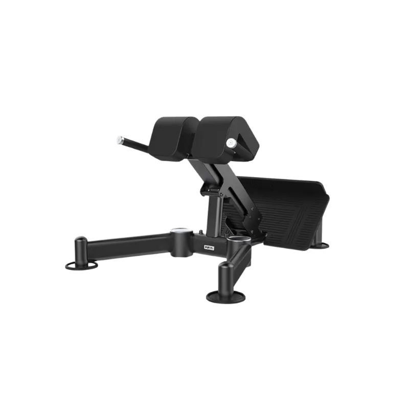 DHZ Evost III Back Extension