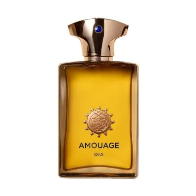 Amouage Dia Men EDP