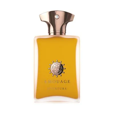 Amouage Overture Men EDP