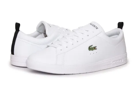Lacoste Plitke patike Court Base