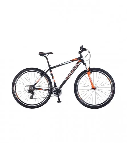 Biciklo NG750 29 V 19"