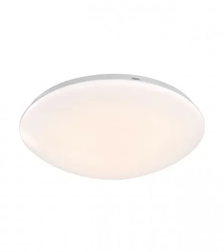 Plafonjera LED 24W 49cm NL1049