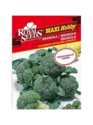 Brokula Corvet Maxi Royal Seeds