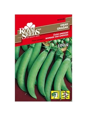 Grašak Čudo Amerike 100 g Royal Seeds