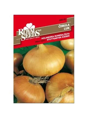 Luk Holandski žuti Royal Seeds