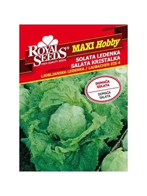 Salata Ljubljanska L.6 g Royal Seeds