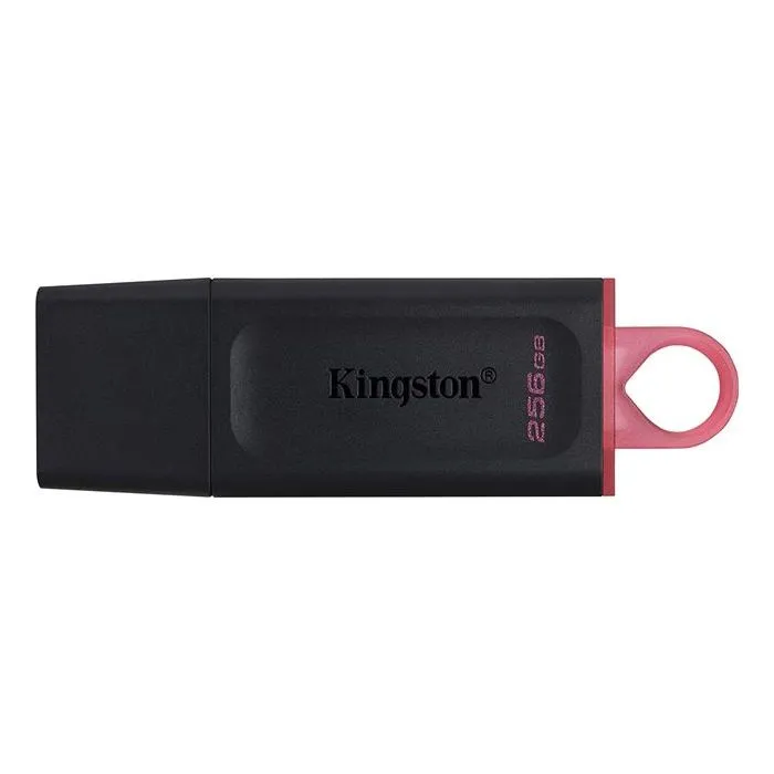 MEM UFD 256GB DTX KIN