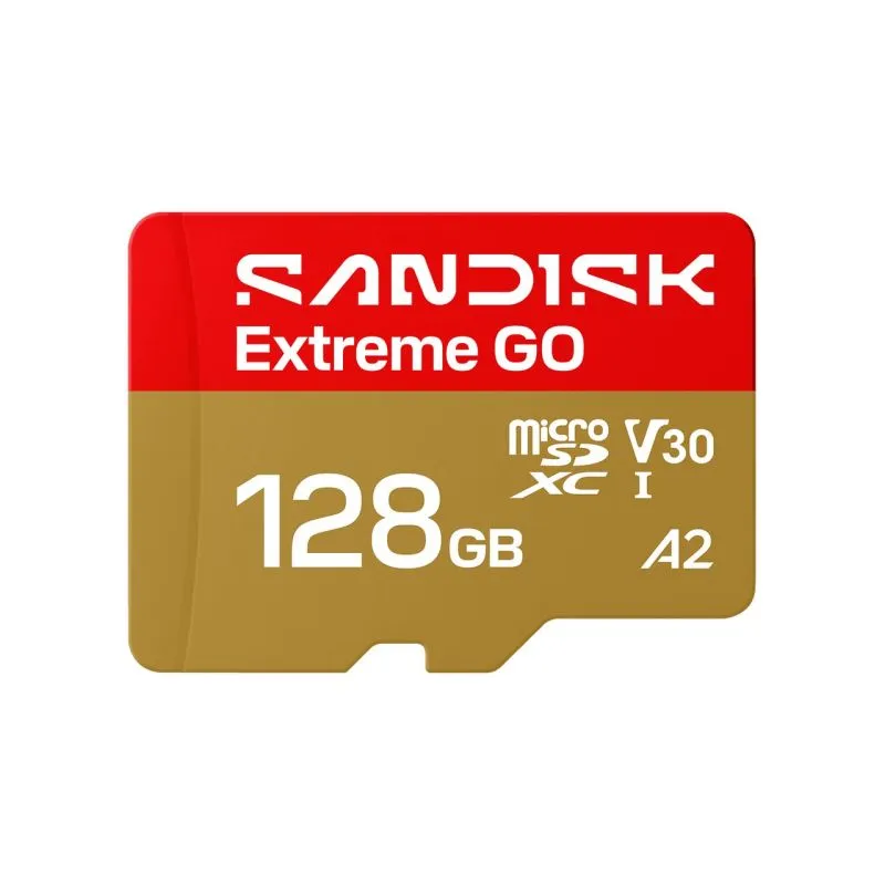 Micro SD SanDisk Extreme GO...