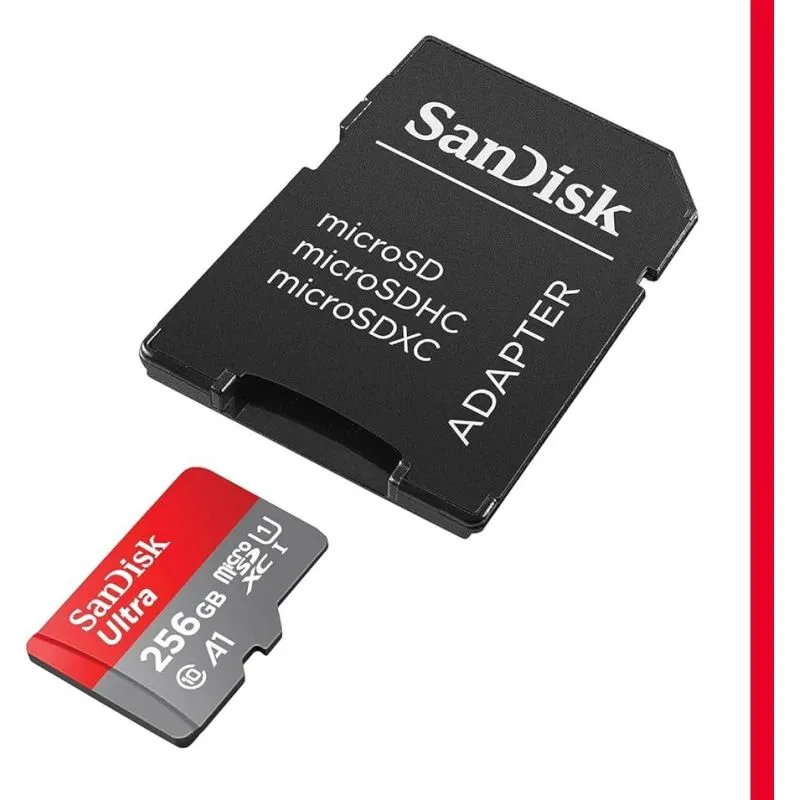 SanDisk Micro SD 256GB...