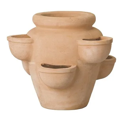 Lončanica jagoda Terracotta