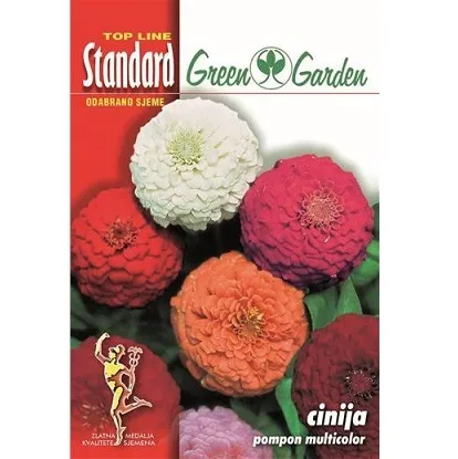 Sjemenska kesica cvijeća cinija pompon multicolor