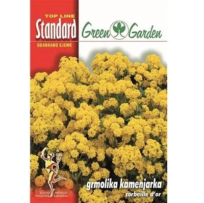 Sjemenska kesica cvijeća grmolika kamenjarka corbeille d’or