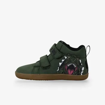 BDS DINOSAUR