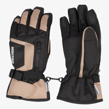 Wintro Ski