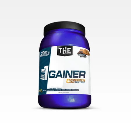 All in 1 Gainer (2000 g)