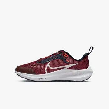 Nike Air Zoom Pegasus 40