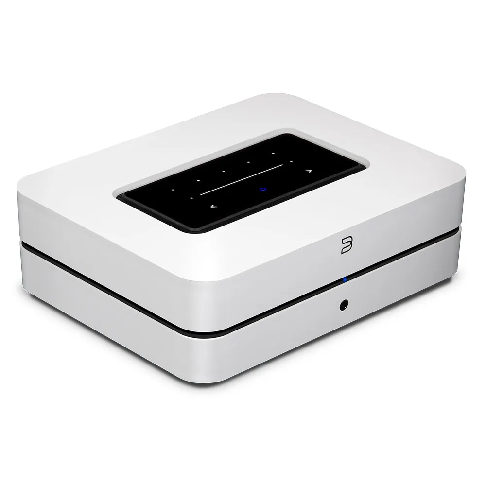 Bluesound POWERNODE (N330)