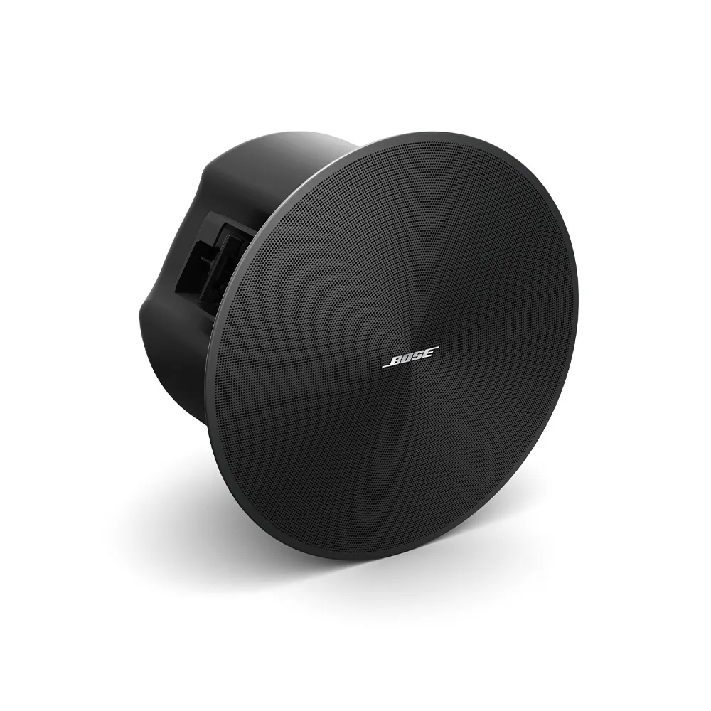 Bose DesignMax DM6C (par)