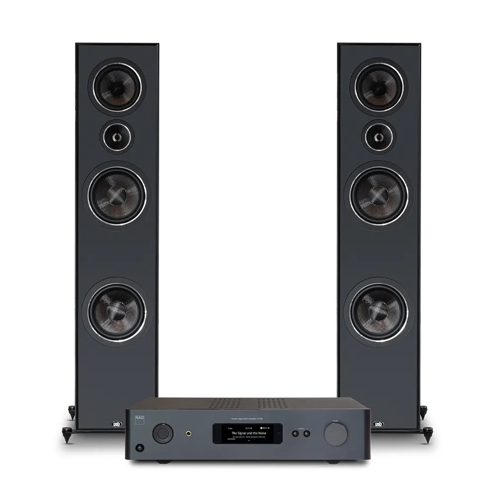 NAD C 389 & PSB Imagine T65 Tower
