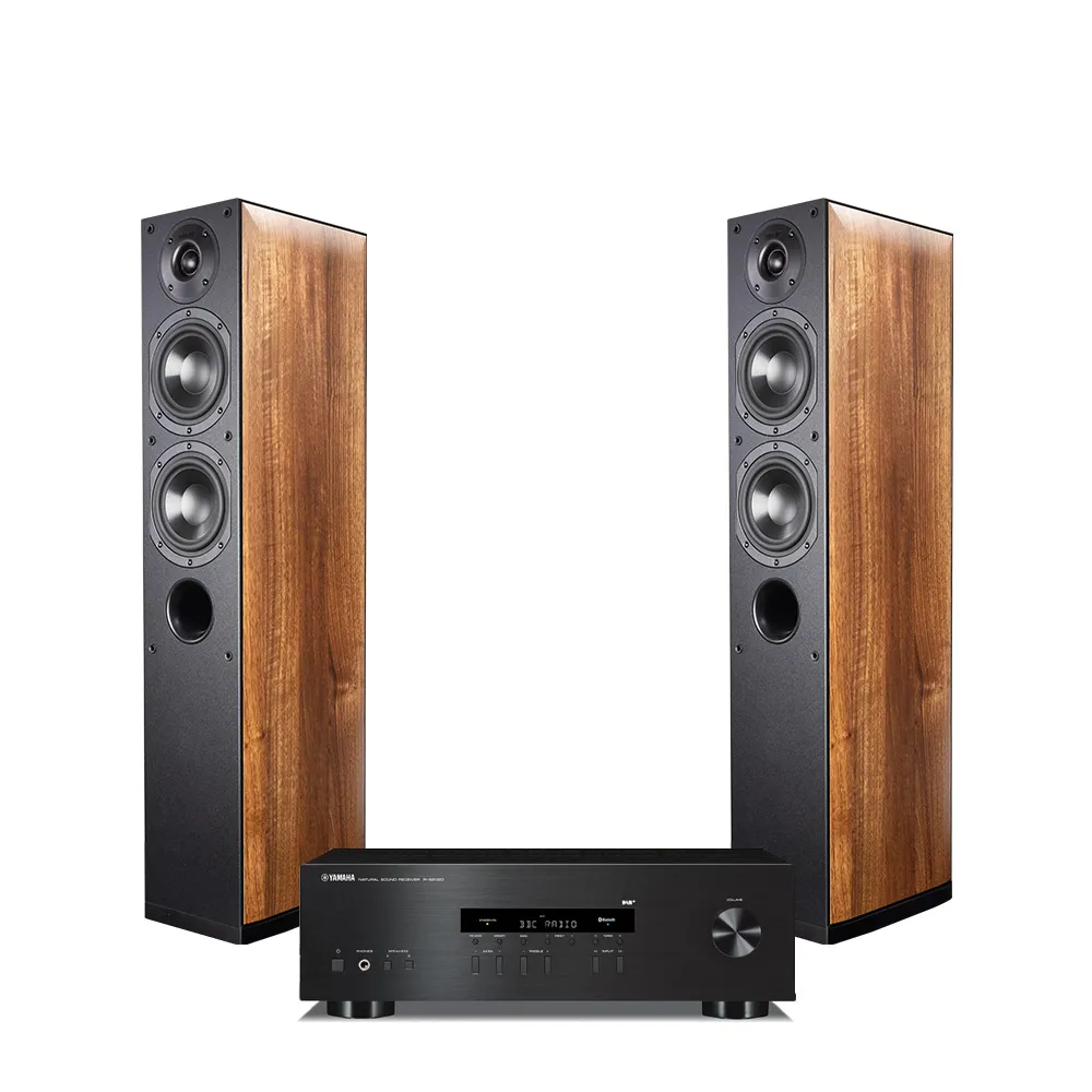 Yamaha R-S202D & Indiana Line Nota 550 X