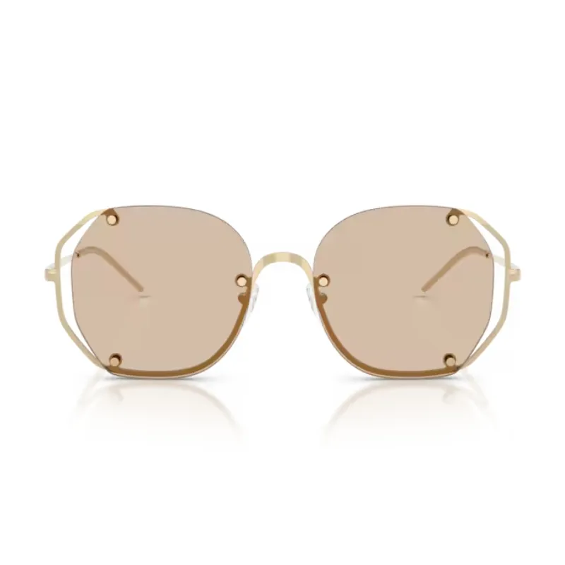 Emporio Armani EA2168 301393 54