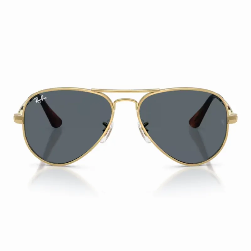 Ray Ban Aviator max RB3925 001/R5 58