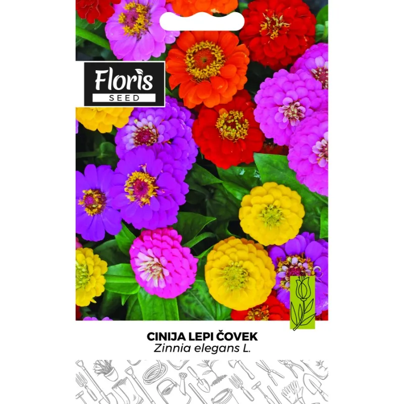 FLORIS-Cveće-Cinija Lepi čovek 1g