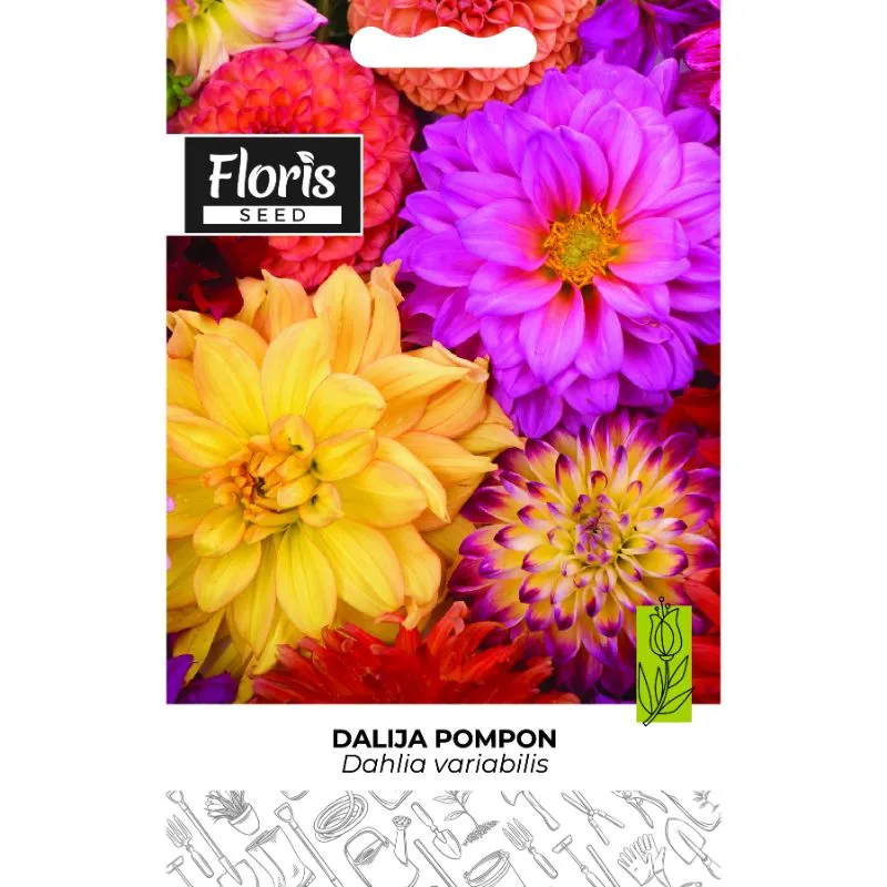 Floris-Cveće-Dalija Pompon 0,3 gr