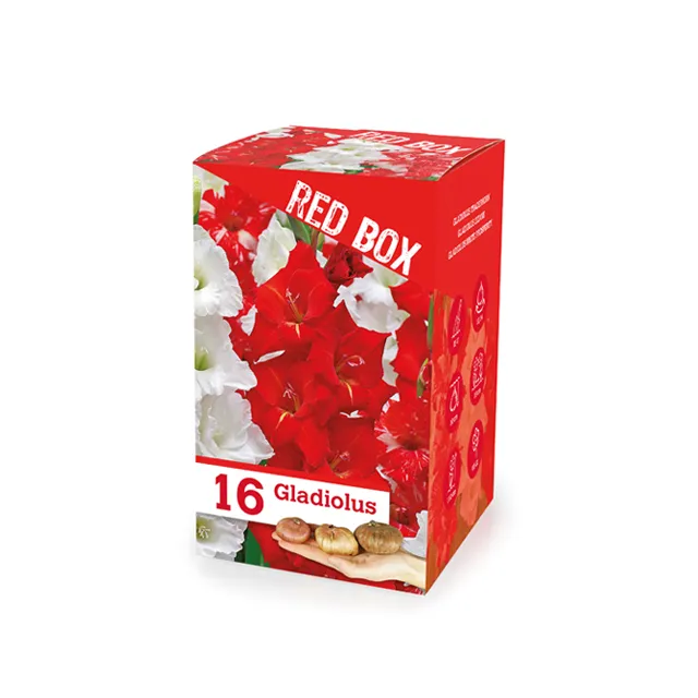 The Red box 16/1