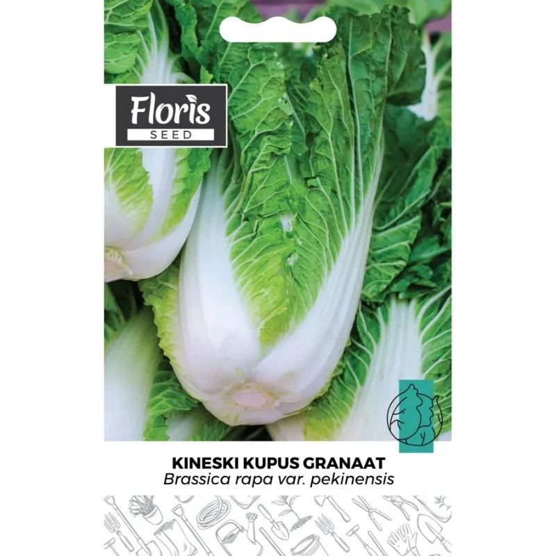 Seme Kineski kupus Granat 1g - 10kom. Floris
