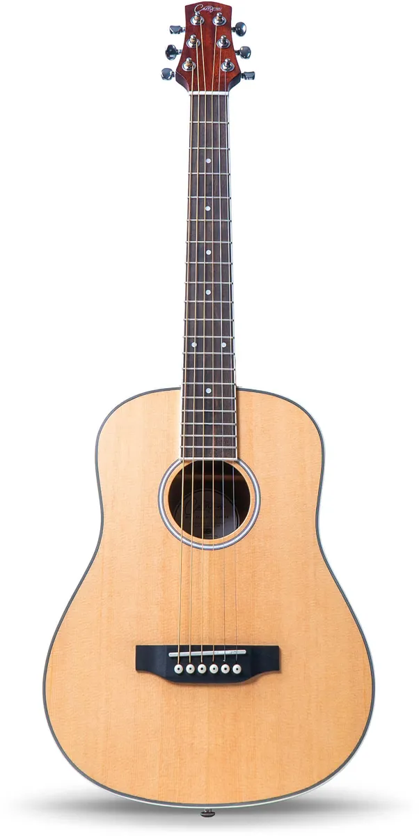Carry On Acoustic Mini Gitara