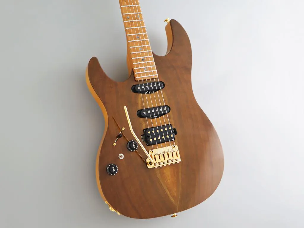 FGN Fujigen EOS2-DU-EW2-RML Expert Odyssey Left Hand Vintage Natural električna gitara