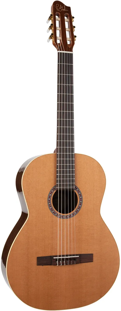 Godin Collection klasična gitara