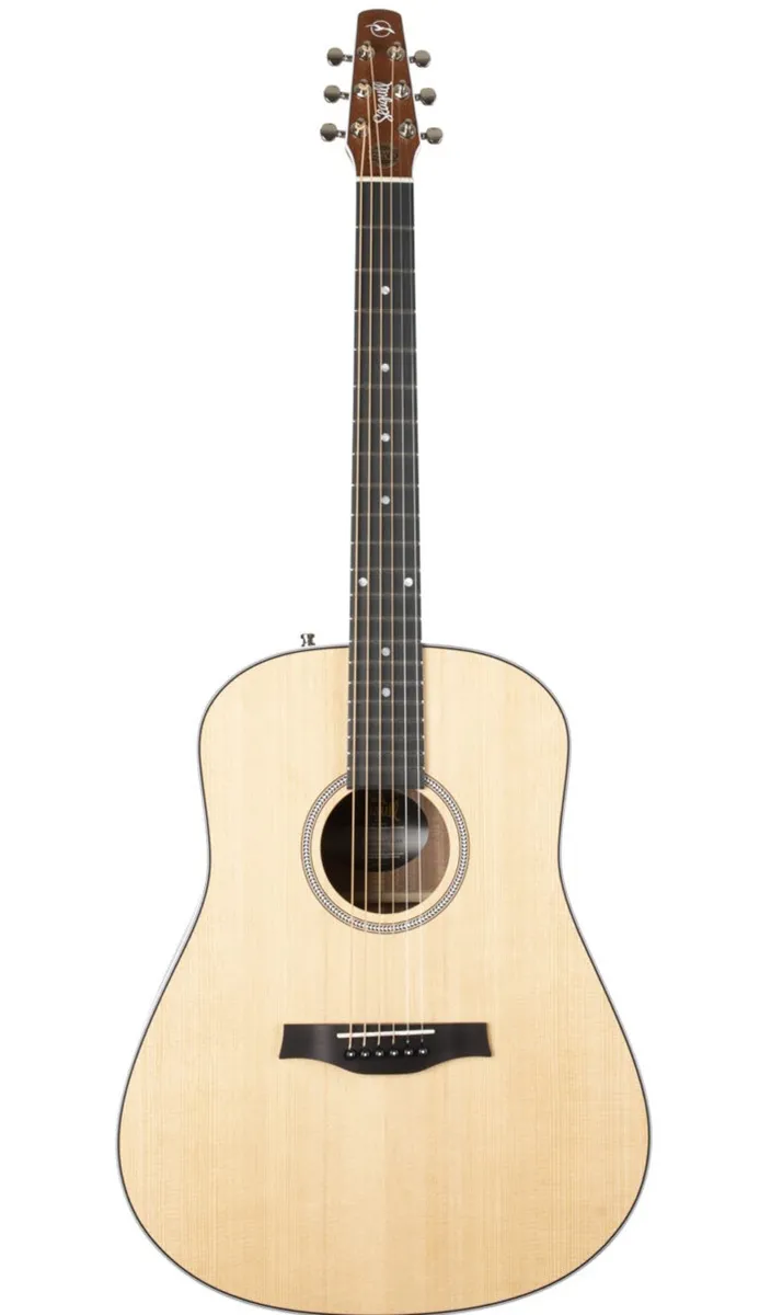 SEAGULL MARITIME SWS NATURAL SG A/E | ELEKTRO AKUSTIČNA GITARA