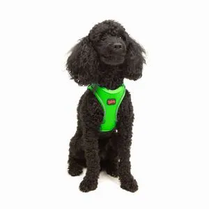 Air-Mesh - Neo Green Ogrlica za Pse
