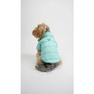 Angel Glow Kaput - Plavi Pas Hoodie