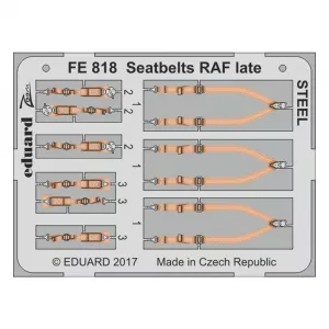 1:48 Seatbelts RAF Late - Steel