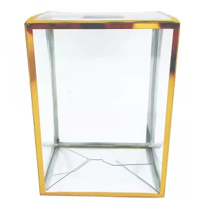 Clear Gold Version 4'' Pop Protector With Film On It With Soft Crease Line And Automatic Bot Lock