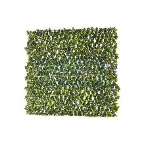 Rossima Boxwood dekorativna ograda harmonika 1x2m