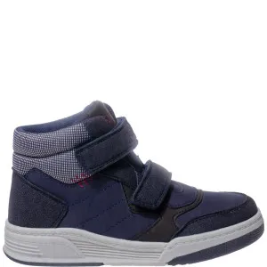 POLLINO CIPELE BLUE