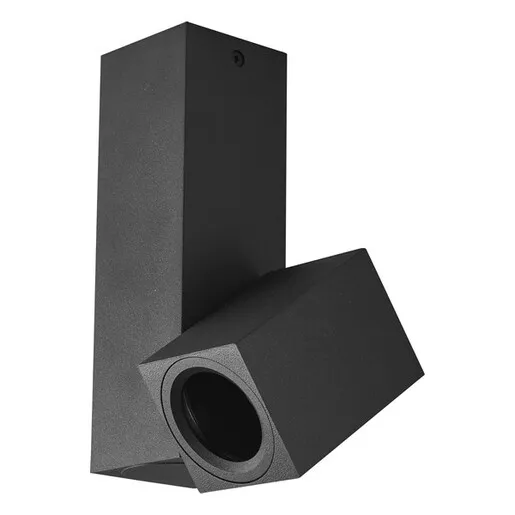 Forma Plafonska lampa AFS101-1C BK