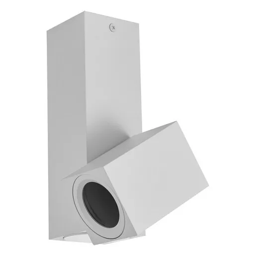 Forma Plafonska lampa AFS101-1C WH